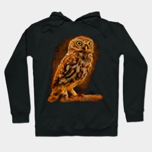 Big-eyed owl, owl symbol of wisdom Hoodie